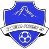 Escudo Marbella Paraíso CF